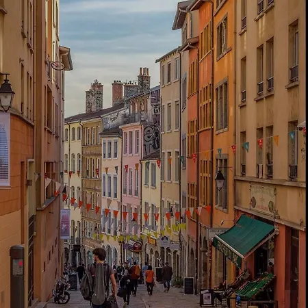 Le Cocon Du Papillon Bleu I 2 Parentales Avec Terrasse En Plein Coeur De I Parking Inclus Lyon